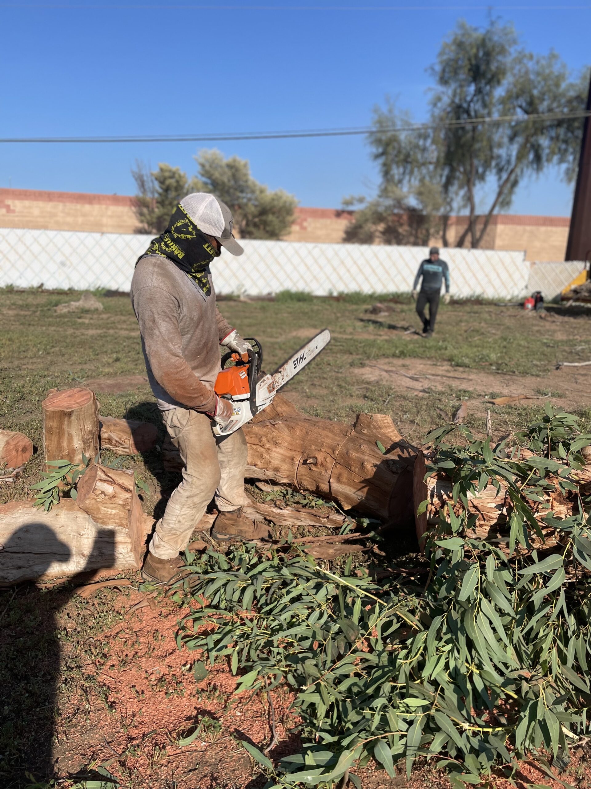 Shady Deal Tree Care Services