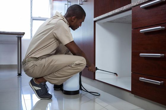 College Station Pest Control Pros