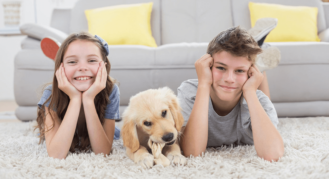 Warren Carpet and Floors